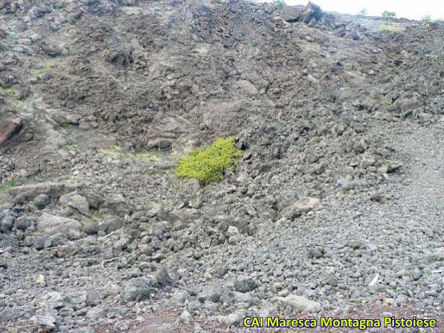 Escursione sul Vulcano Etna